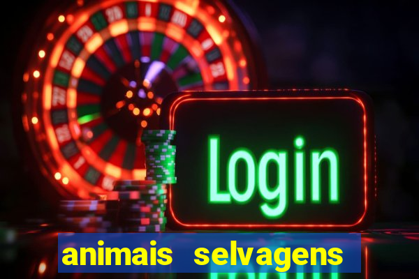 animais selvagens fotos e nomes